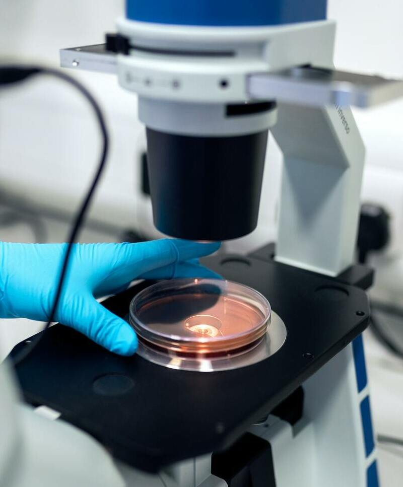 АНАЛИЗ ПОЧВ И ОТХОДОВ 